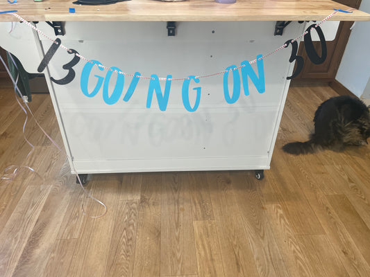 13 going on 30 banner