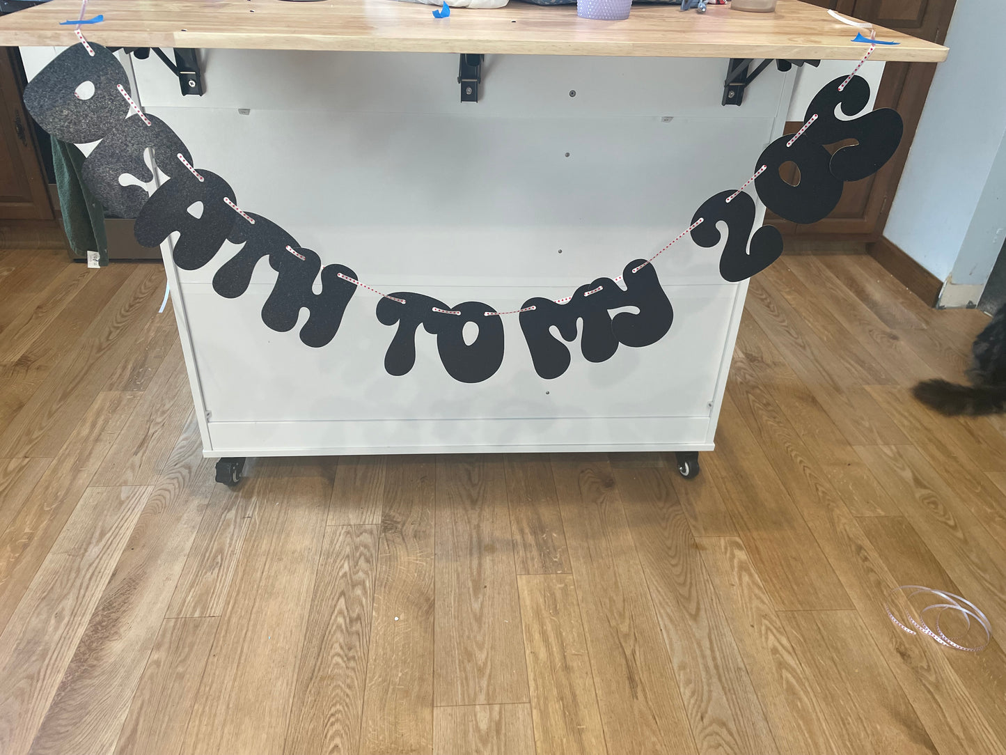 Death to my 20s banner